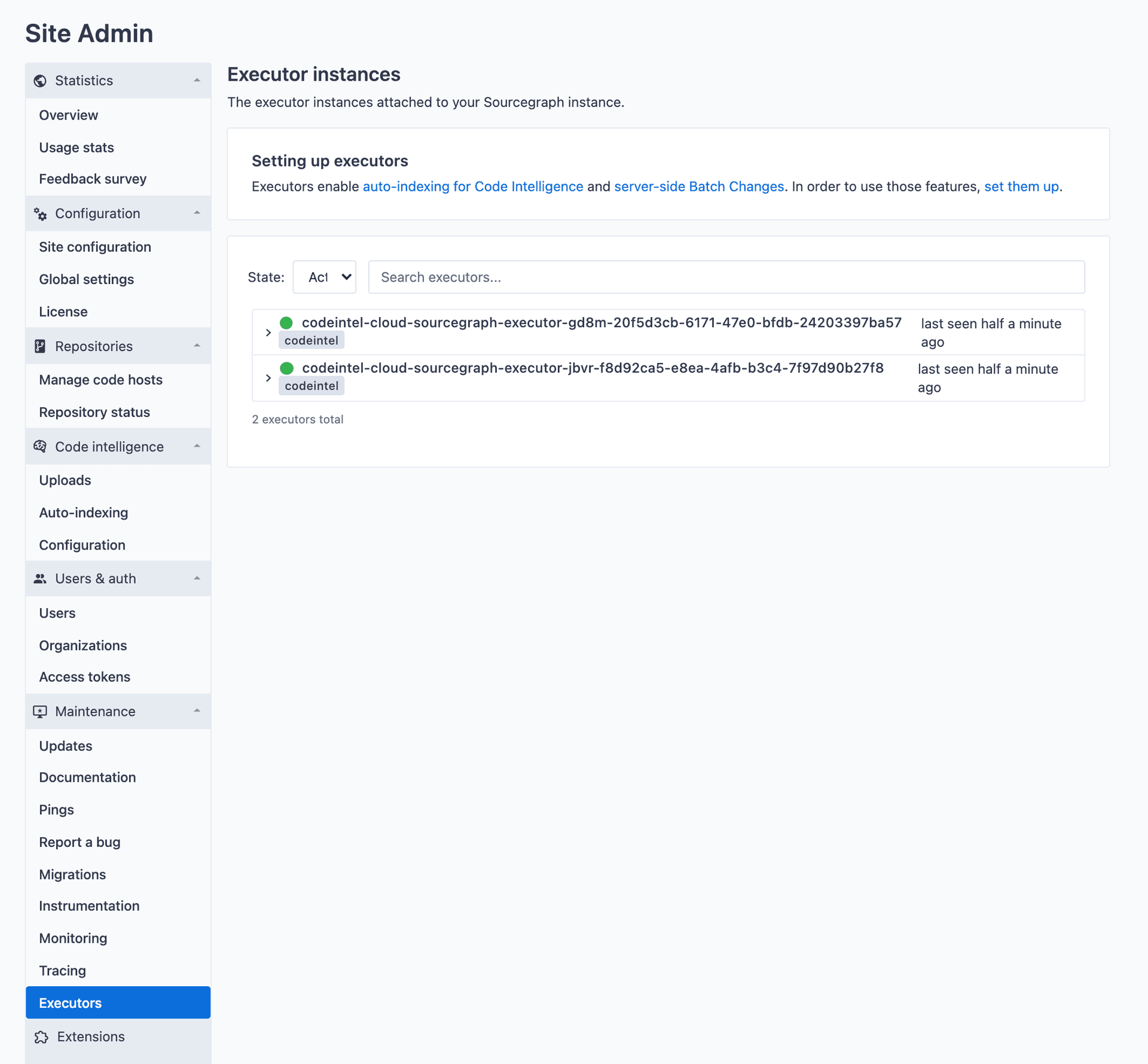 Executor instances listed in the Sourcegraph site administration UI
